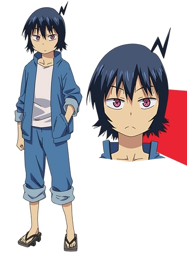 курица из сои. соевая курица. бона вита куриный стейк. соевый бифштекс. соя бобы.