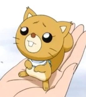 Risu Rabbit Risu - Character (108625) - AniDB